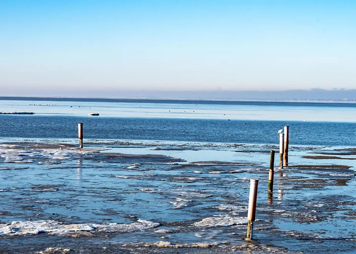 Schwalbennest Iii By Interhome شقة